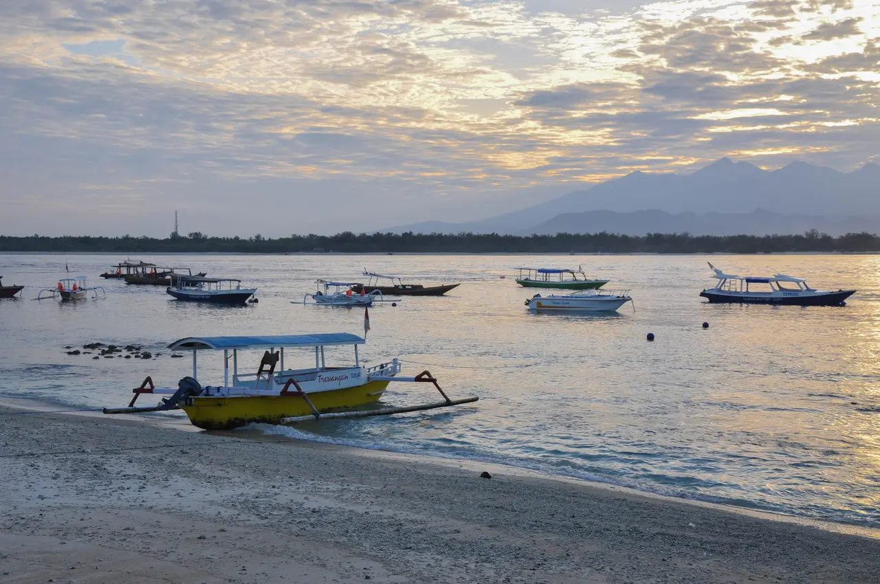 Morning boats