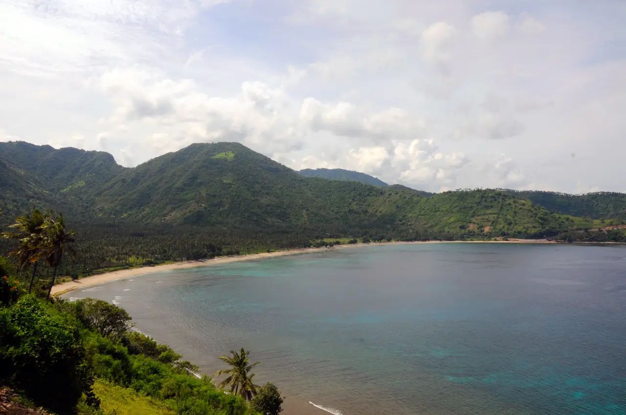 4.2 hectares above the bay